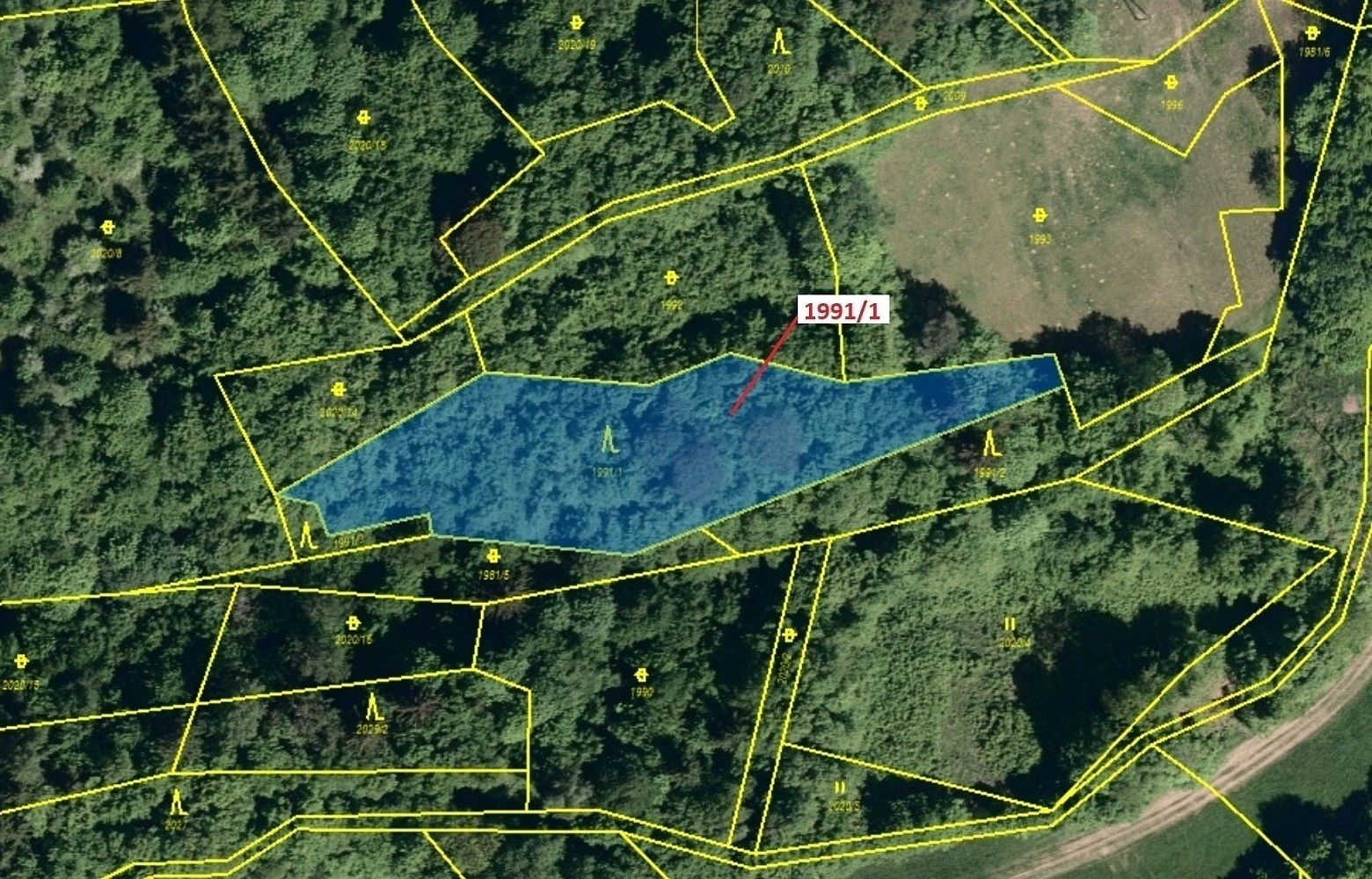 Prodej les - Hovězí, okres Vsetín, Zlínský kraj - 2