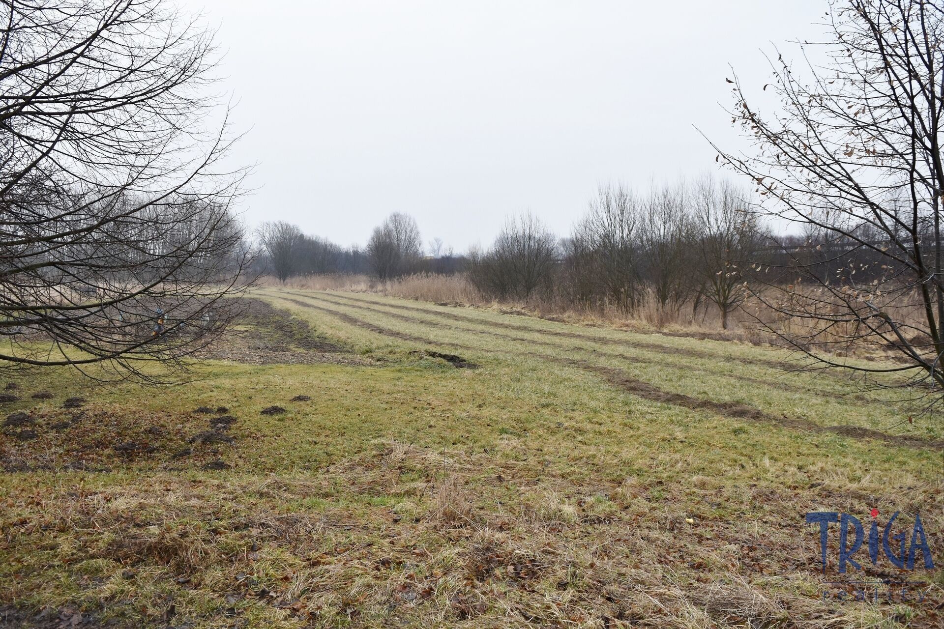 Louky, Velký Třebešov, 1 m²