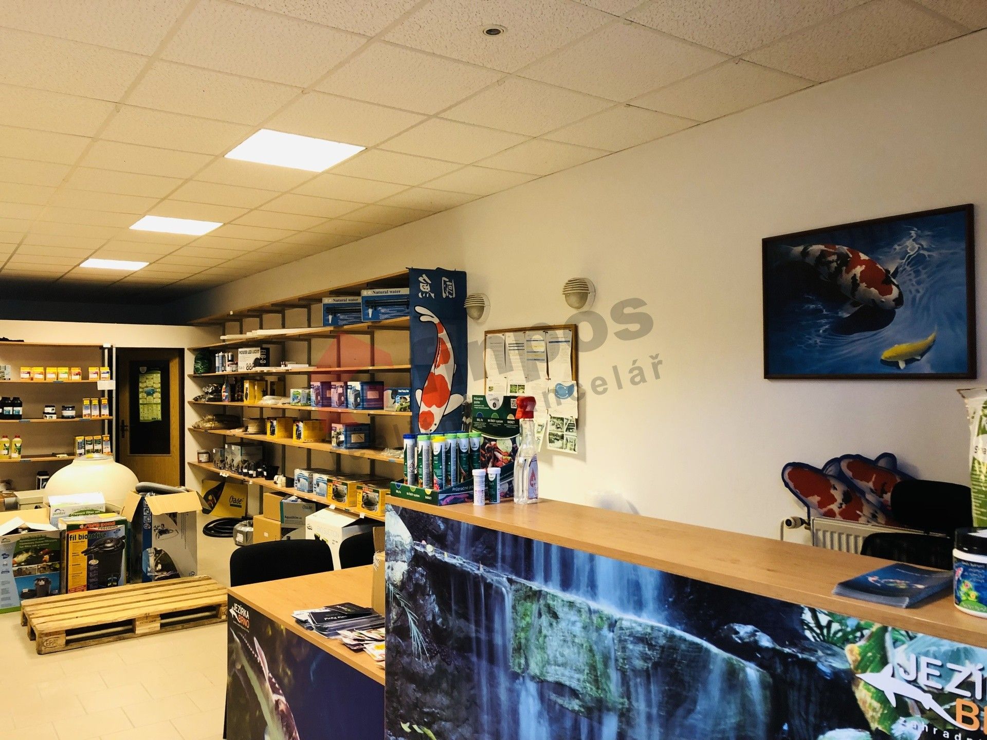 Obchodní prostory, Sobolova 146, Brno Bohunice, 79 m² - 1