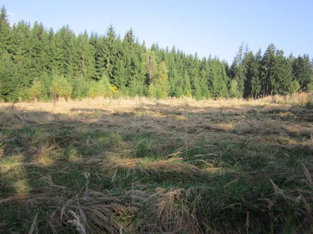 Lesy, Tříklasovice, Psárov