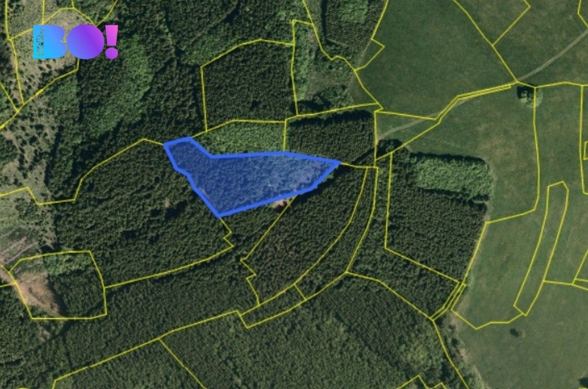 Lesy, Huslenky, 6 240 m² - 1