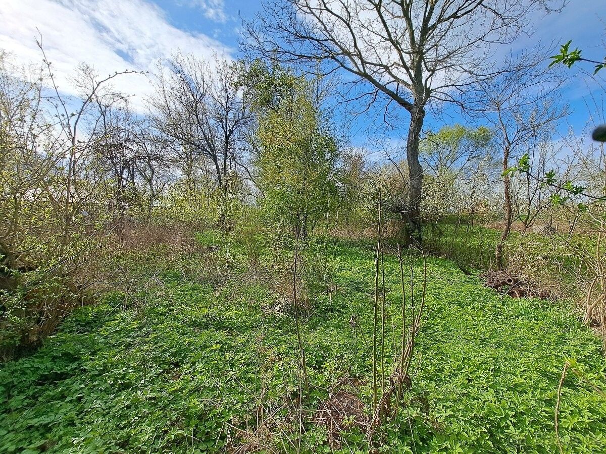 Zahrady, Veselí nad Moravou, 698 01