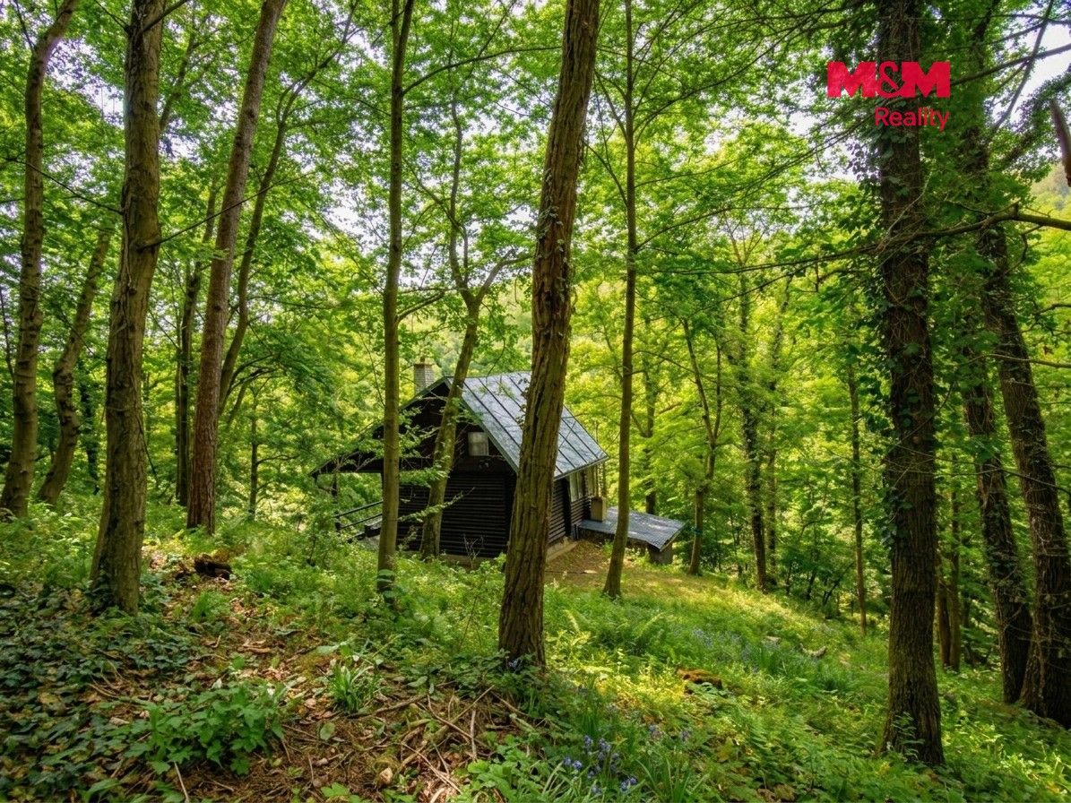 Chata · 70 m² · Luka pod Medníkem, Jílové u Prahy - 3