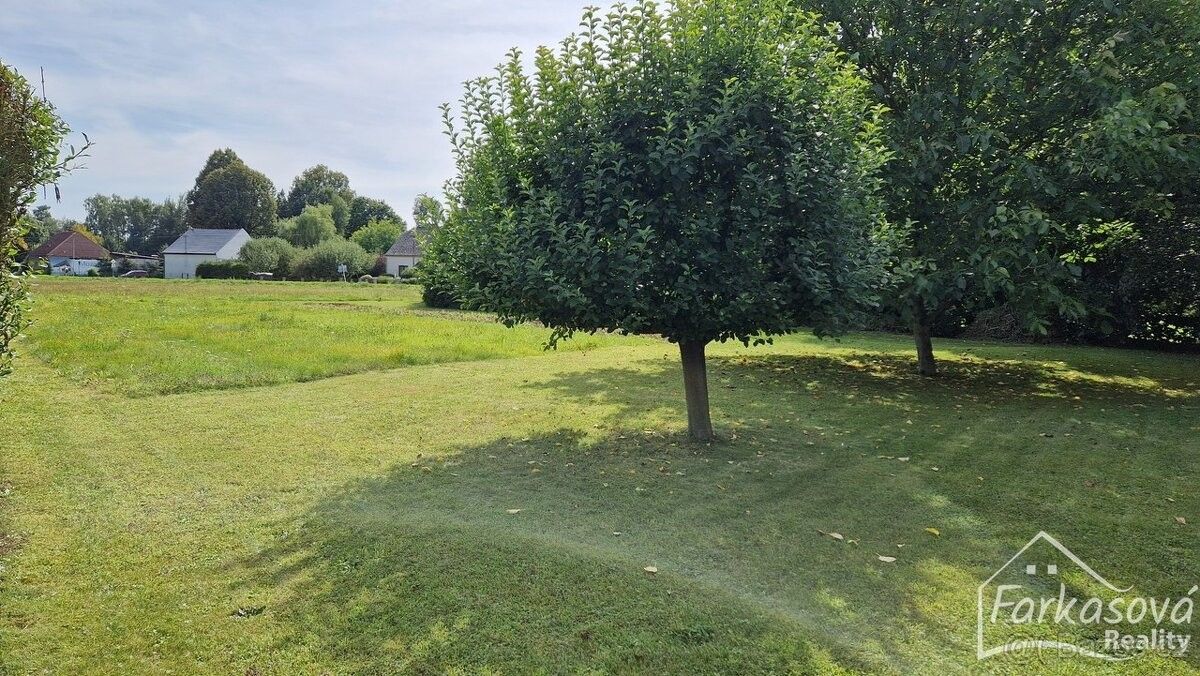 Prodej pozemek pro bydlení - Albrechtice, 563 01