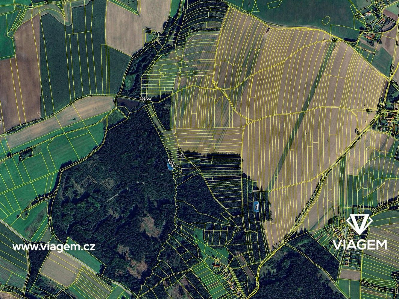 Les · Vyklantice, okres Pelhřimov, Kraj Vysočina - 4
