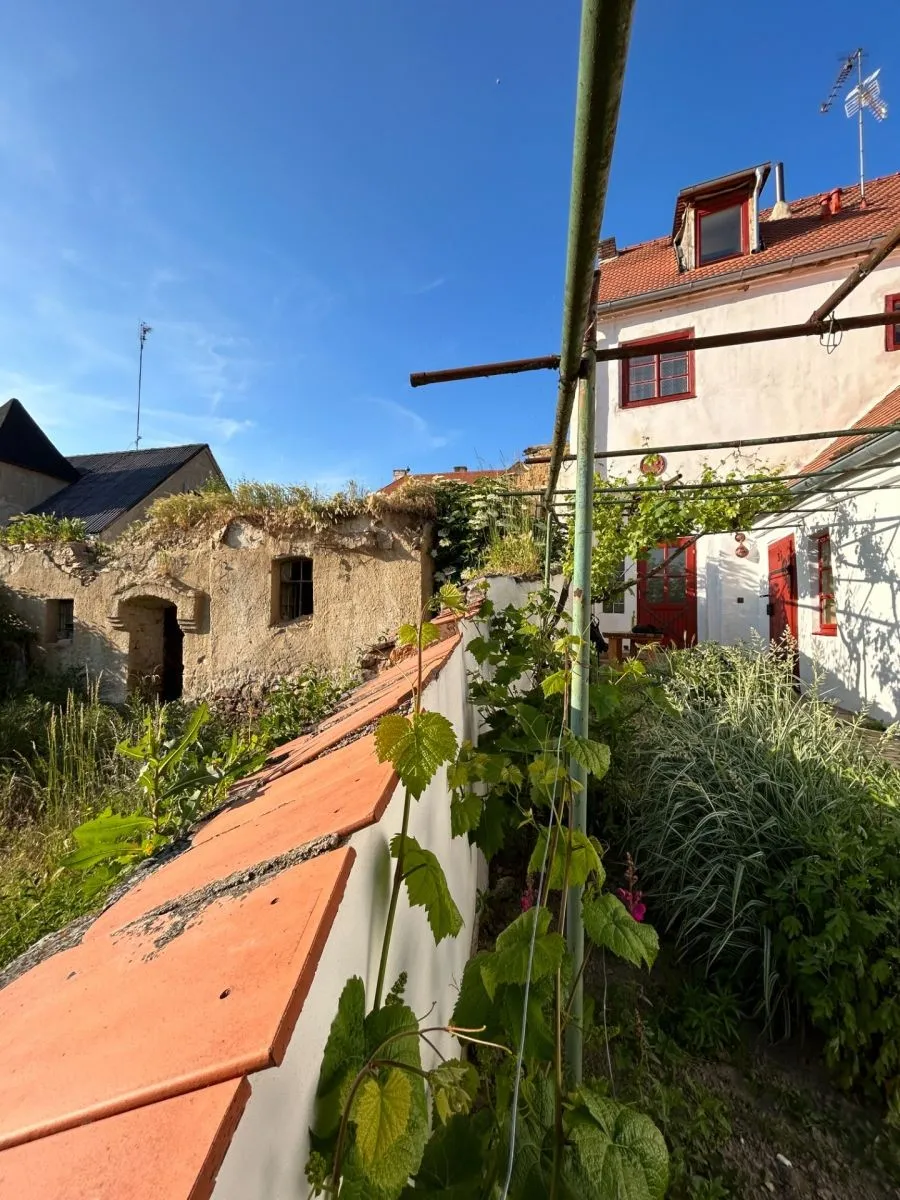Ostatní