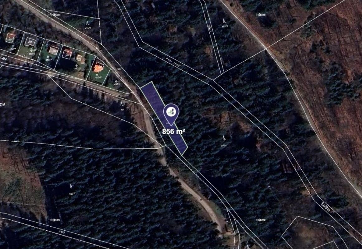Lesy, Malenovice - 1