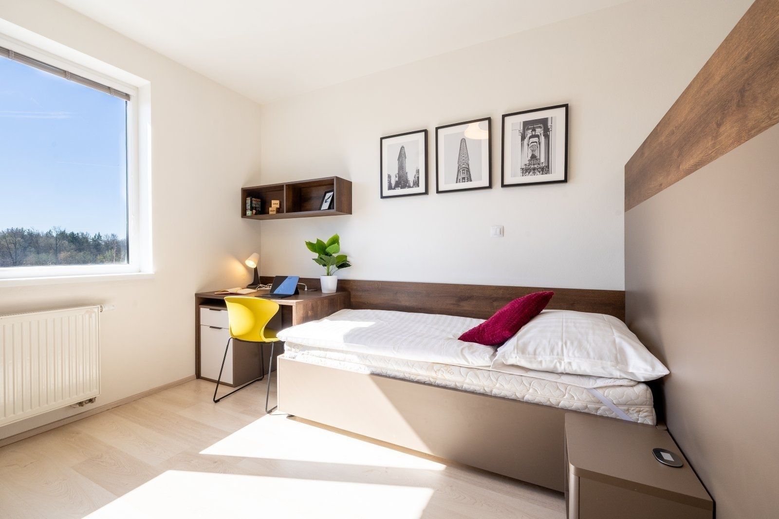 1+kk, Magisterská, Plzeň - Plzeň, Plzeňský kraj, 28 m² - 1