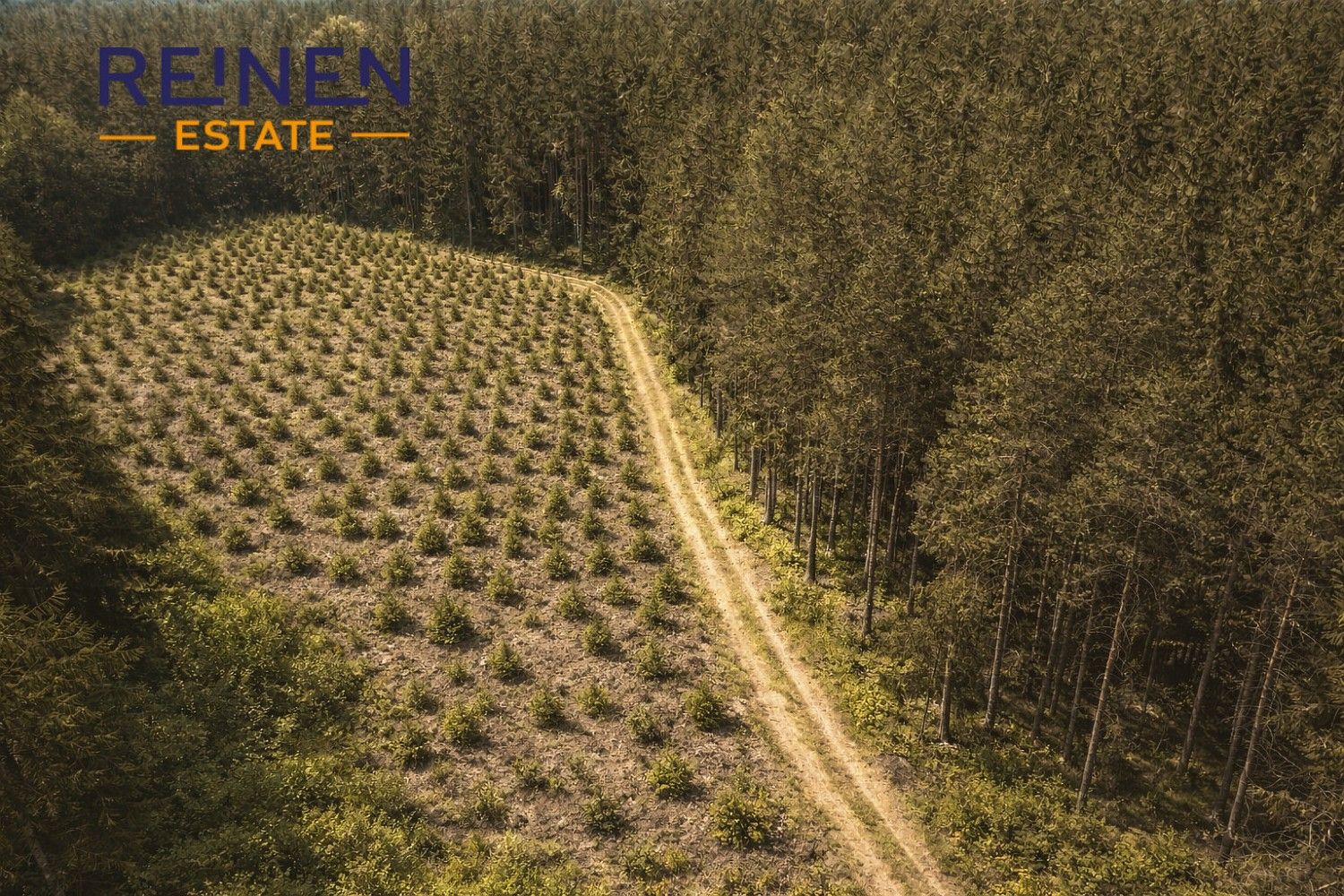 Prodej les - Křeč, okres Pelhřimov, Kraj Vysočina - 1