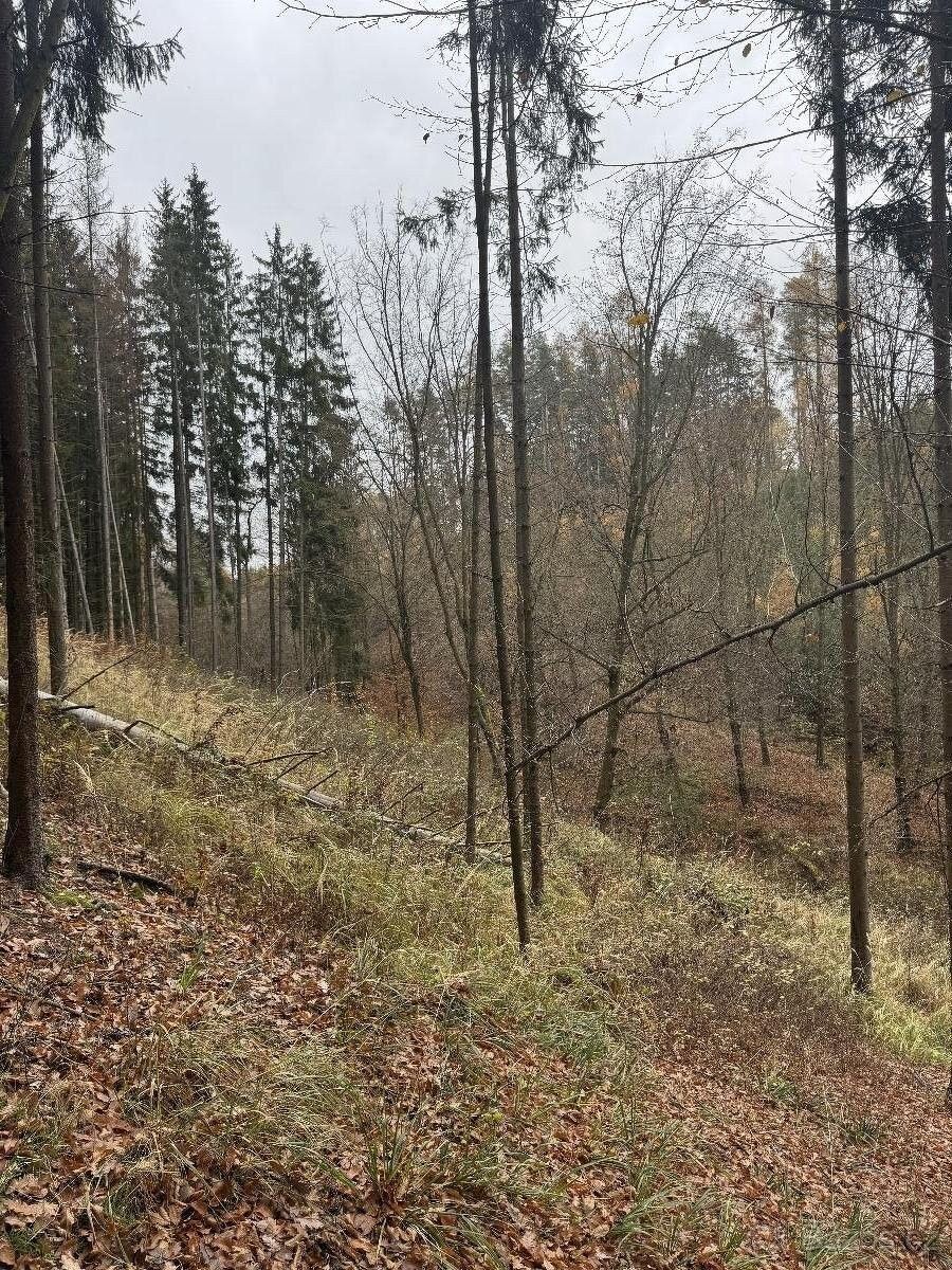 Prodej pozemek pro bydlení - Slavětín u Litovle, 783 24