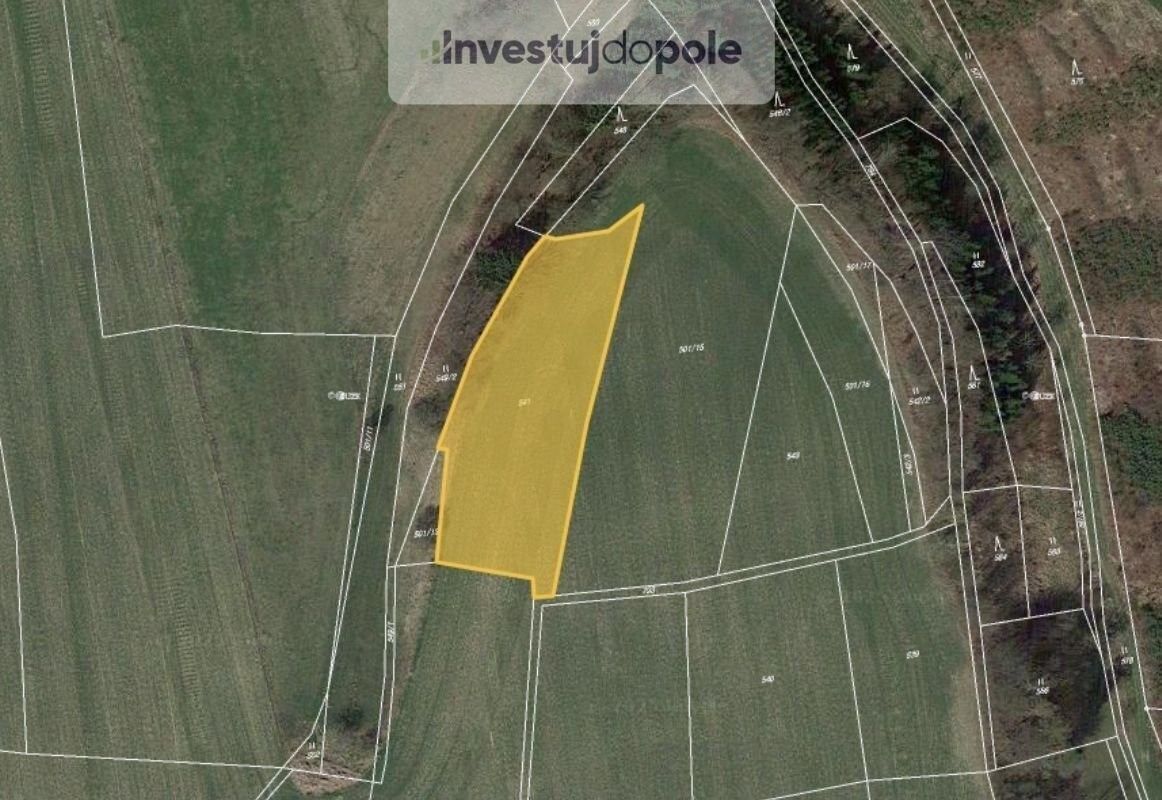 Prodej zemědělský pozemek - Vysoké Mýto, 2 465 m²