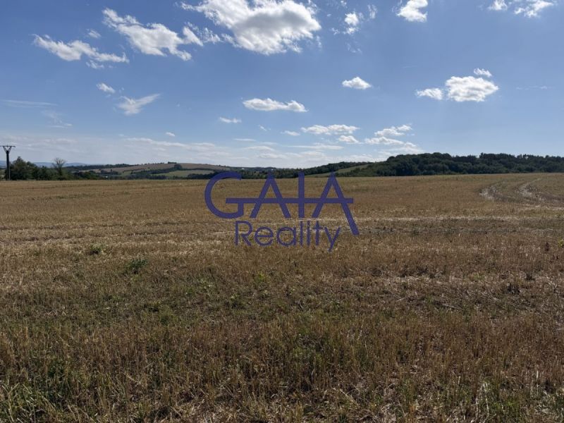 Zemědělské pozemky, Buchlovice, 8 411 m² - 2