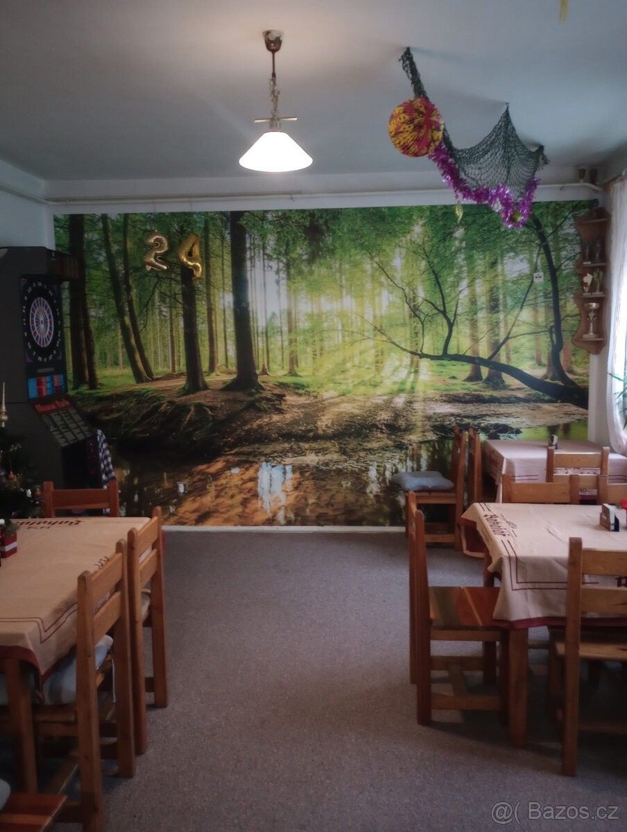 Pronájem restaurace - Děčín, 405 02