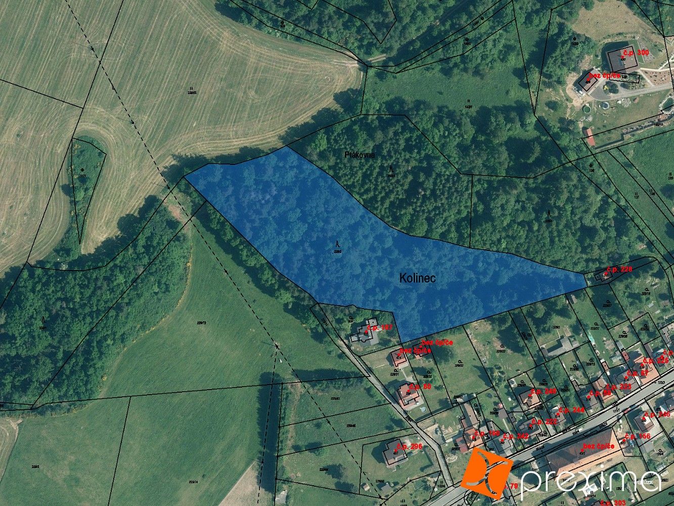 Prodej les - Kolinec, okres Klatovy, Plzeňský kraj - 1