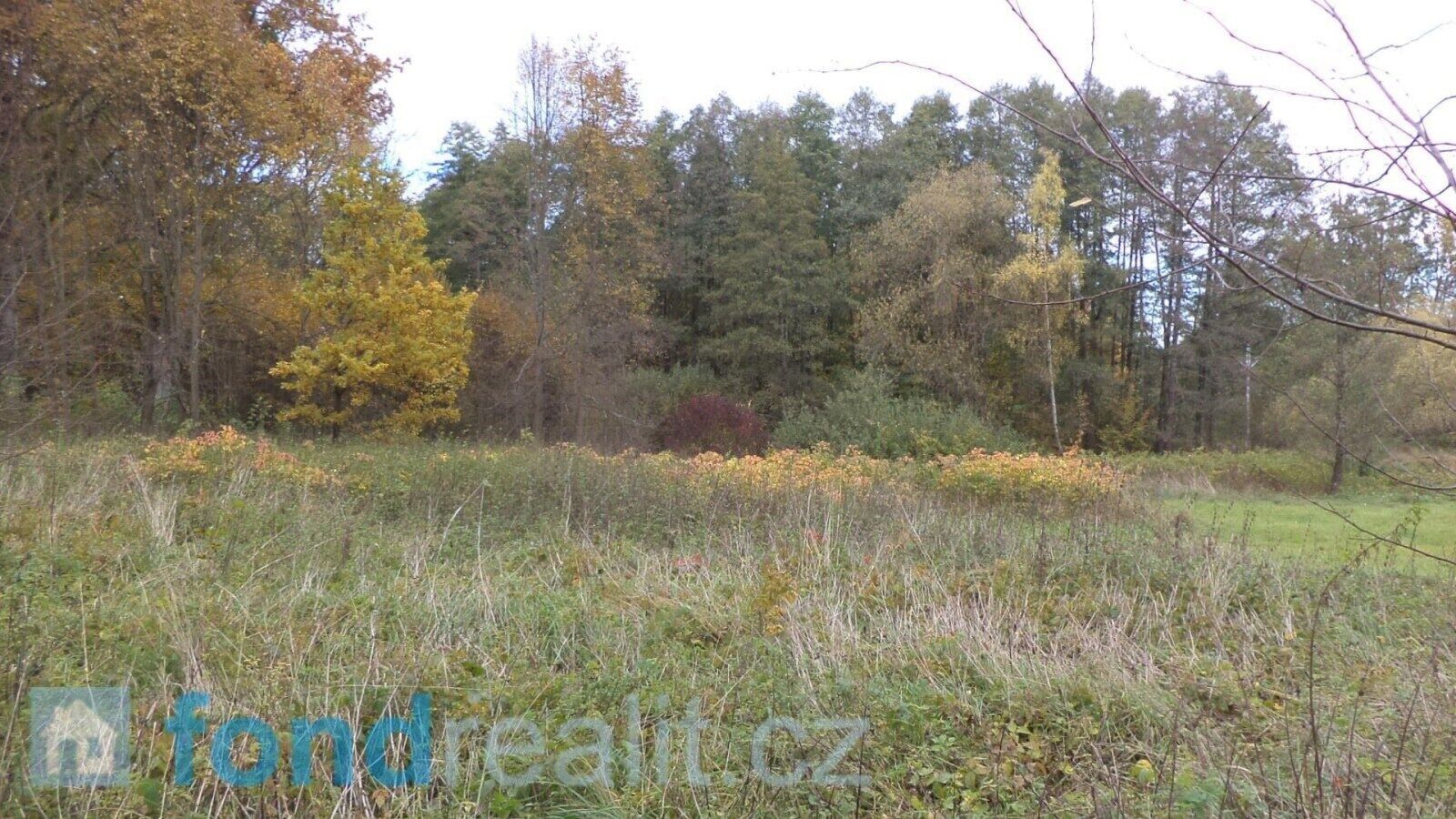 Ostatní, Chlum u Třeboně, 29 m²