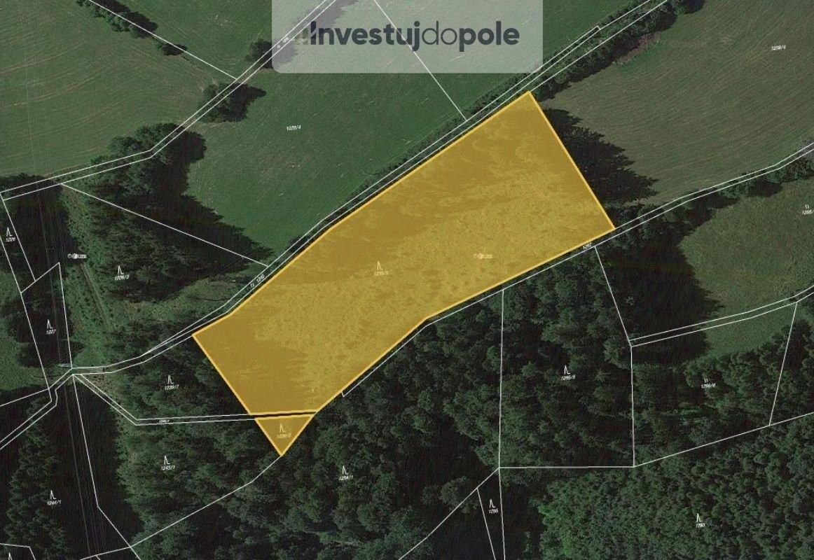 Prodej les - Cotkytle, 97 502 m²