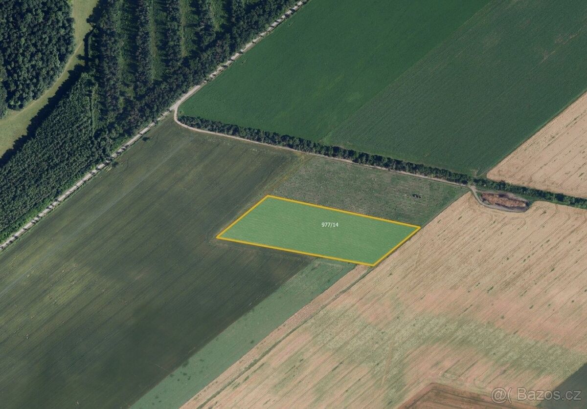 Prodej pozemek pro bydlení - Bulhary, 691 89