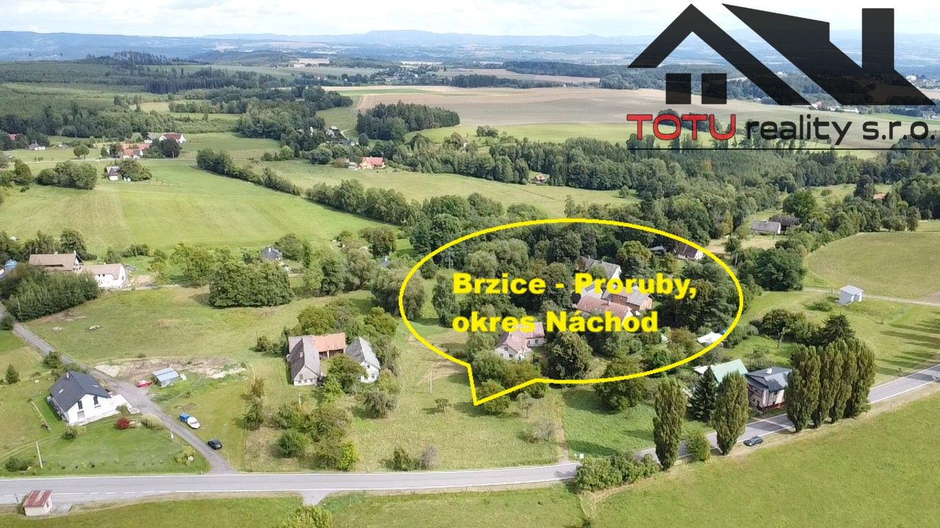 Pozemky pro bydlení, , Brzice, 1 m²