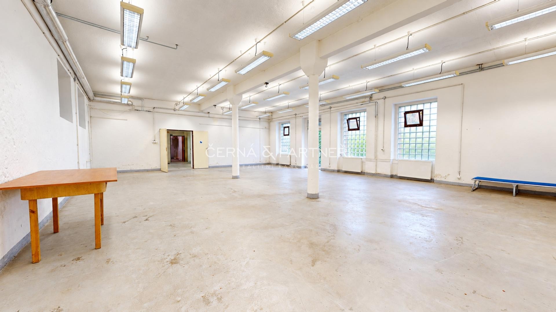 Pronájem výrobní prostory - Štúrova, Teplice Trnovany, 235 m² - 2