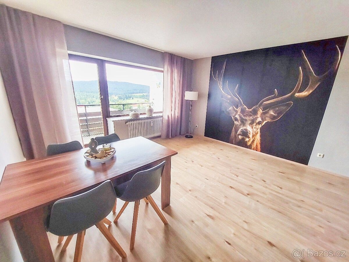 Pronájem byt - Stožec, 384 44