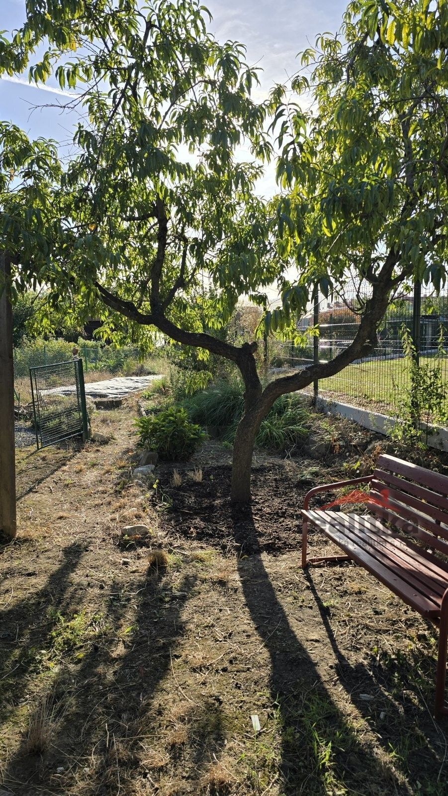 Prodej zahrada - Opava, 150 m² - 5
