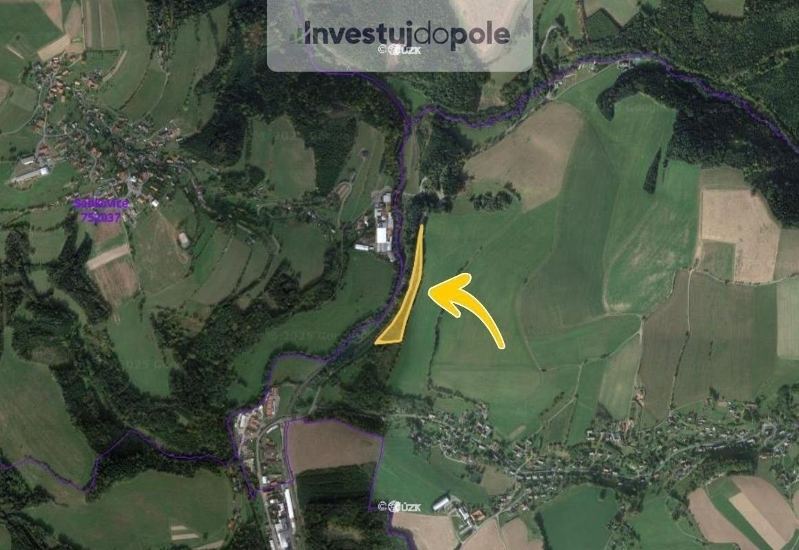 Prodej louka - Jamné nad Orlicí, 10 404 m²