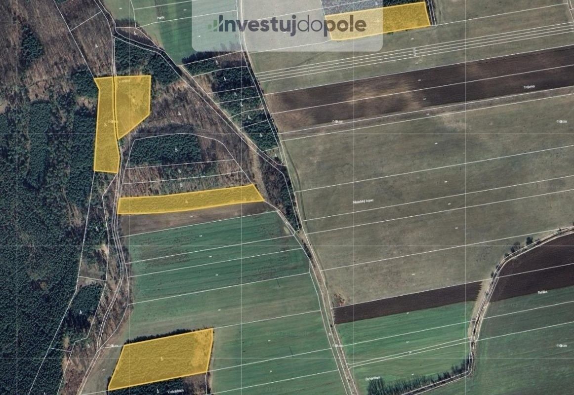 Prodej les - Oseček, 96 975 m²