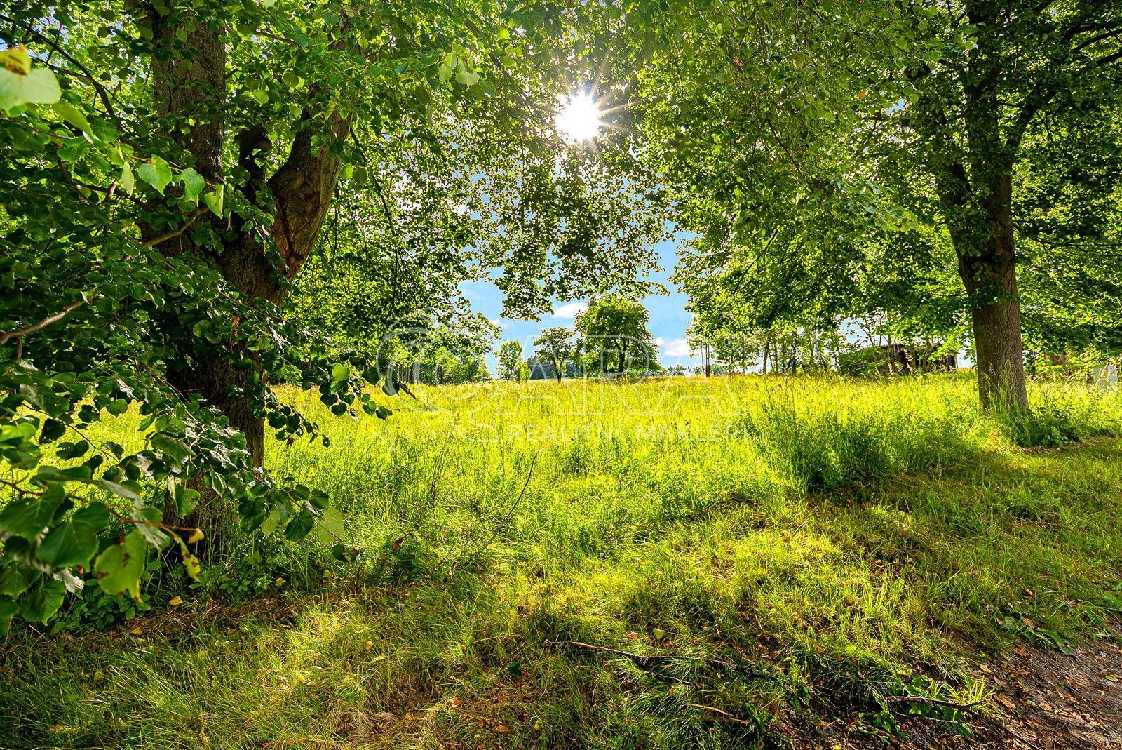 Komerční pozemky, Čestice, 4 m²