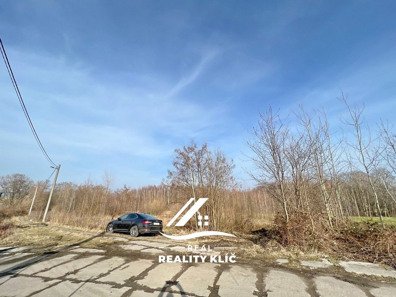Prodej zemědělský pozemek - Markvartovice, okres Opava - 5