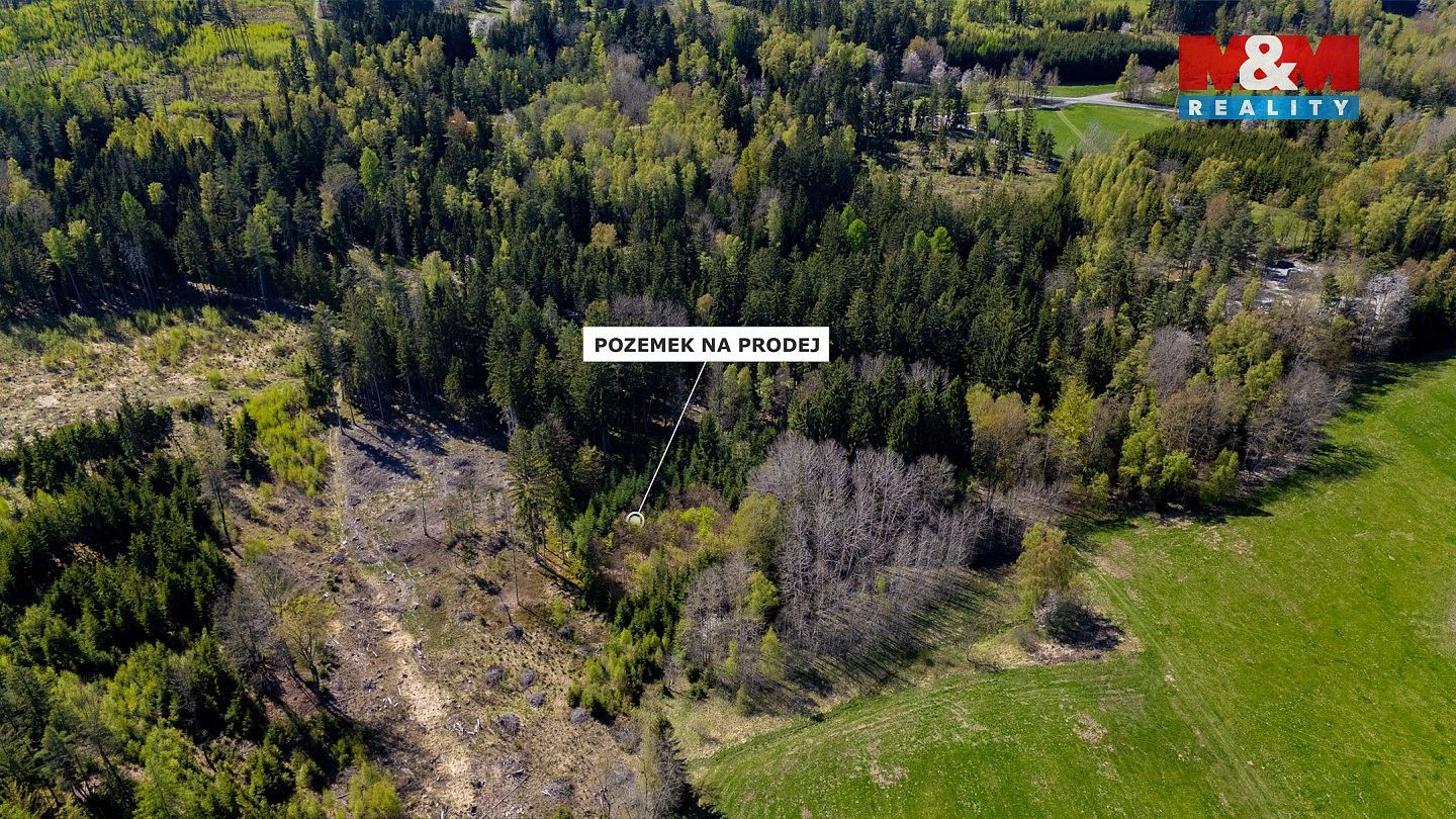 Prodej les - Železný Brod, okres Jablonec nad Nisou, Liberecký kraj - 5