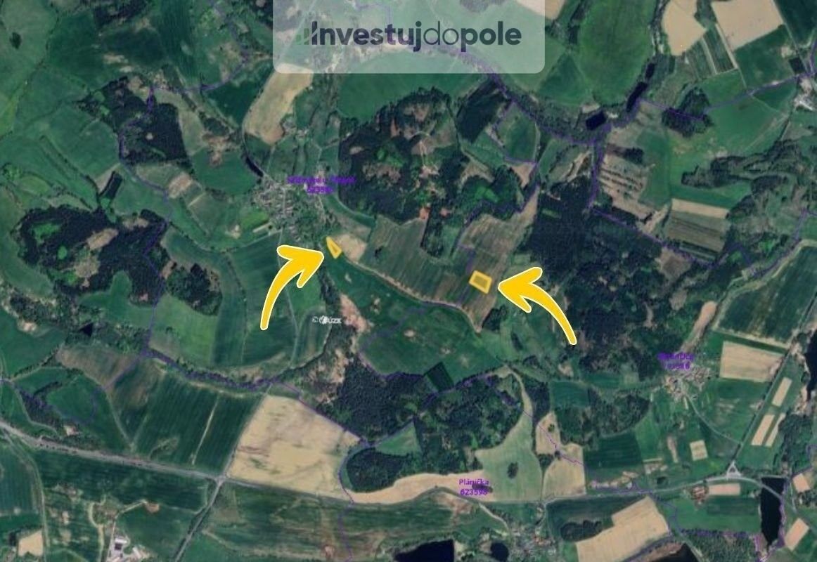 Prodej zemědělský pozemek - Zavlekov, 7 300 m²