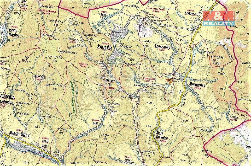 Prodej louka - Bernartice, okres Trutnov, Královéhradecký kraj - 5