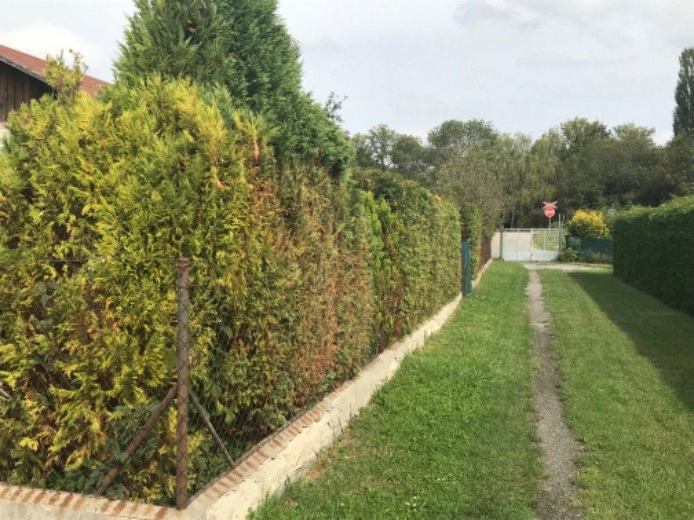 Prodej chata - Nymburk, 288 02