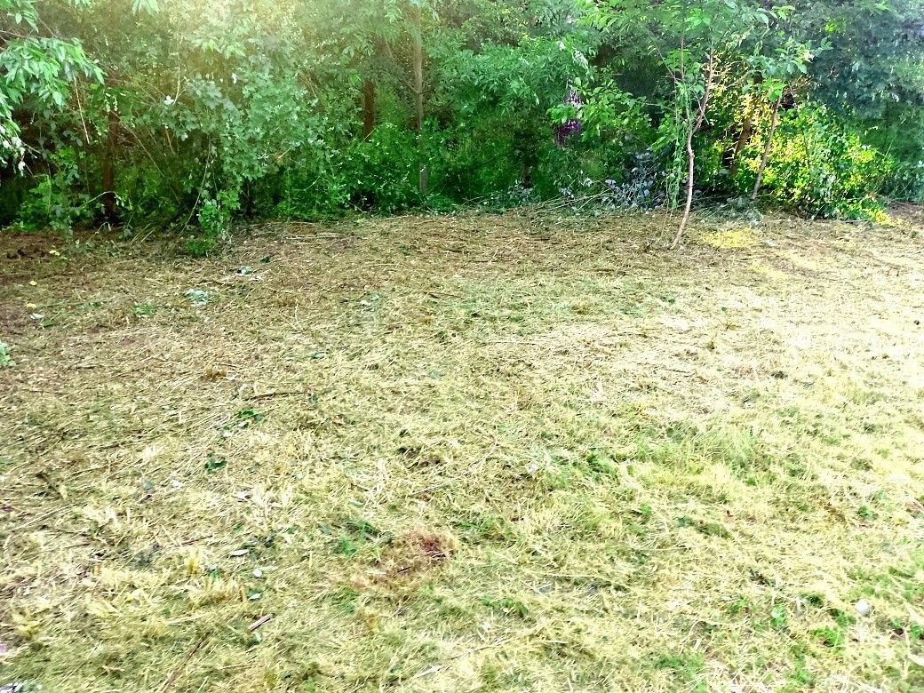 Prodej pozemek pro bydlení - Děčín, 405 02 - 5