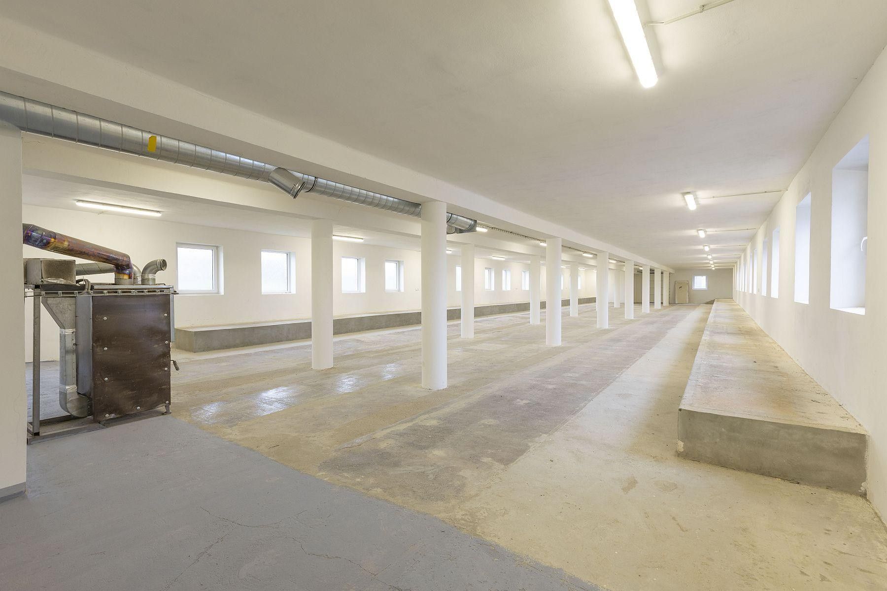 Pronájem výrobní prostory - Nová Ves, Zámrsk, 700 m²