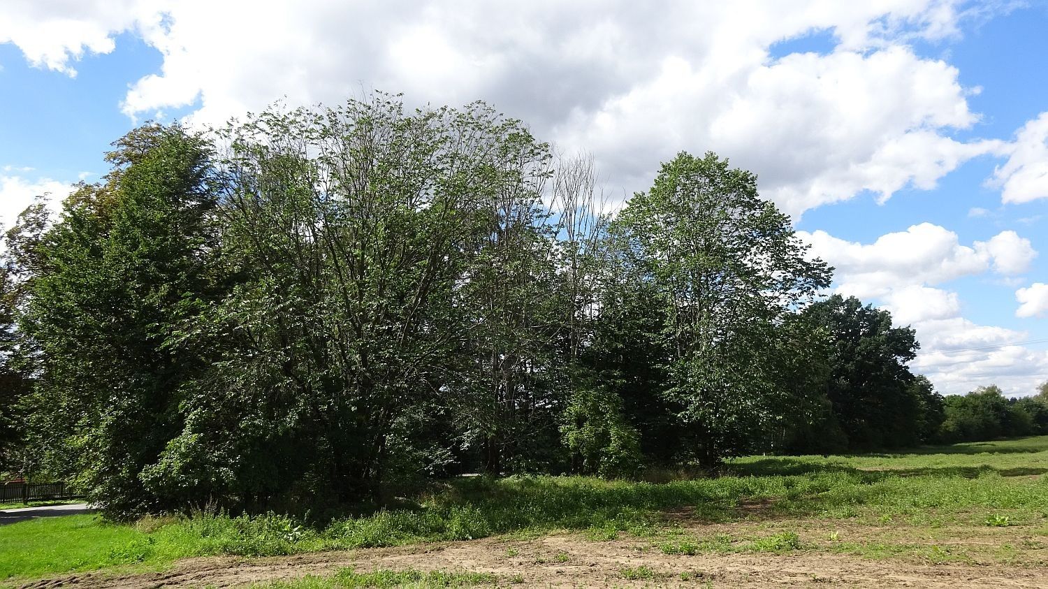 Pozemky pro bydlení, Vitice, 421 m²