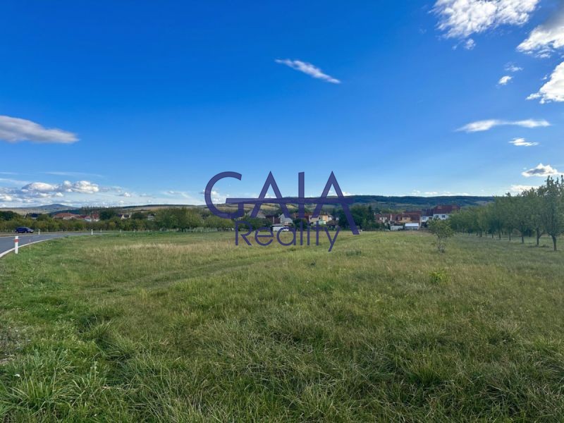 Pozemky pro bydlení, Hroznová Lhota, 3 079 m² - 1