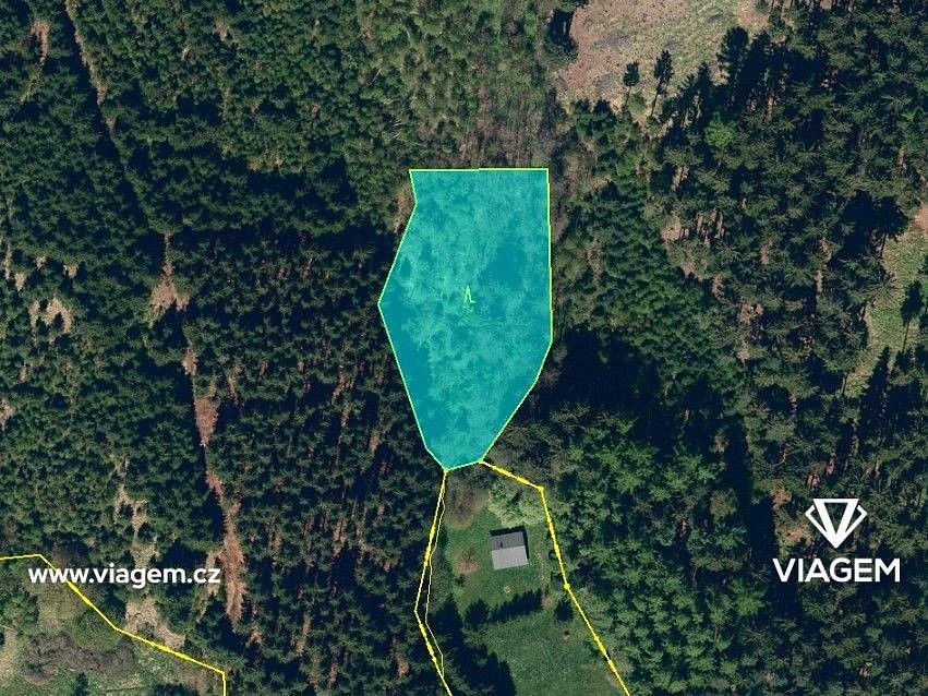 Les · Třebětín, okres Kutná Hora, Středočeský kraj - 3
