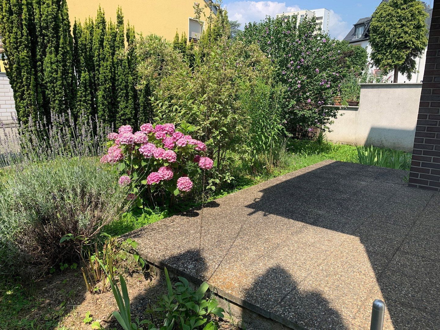 2+1, Frankfurt am Main Niederursel Hessen 60439, 75 m² - 1