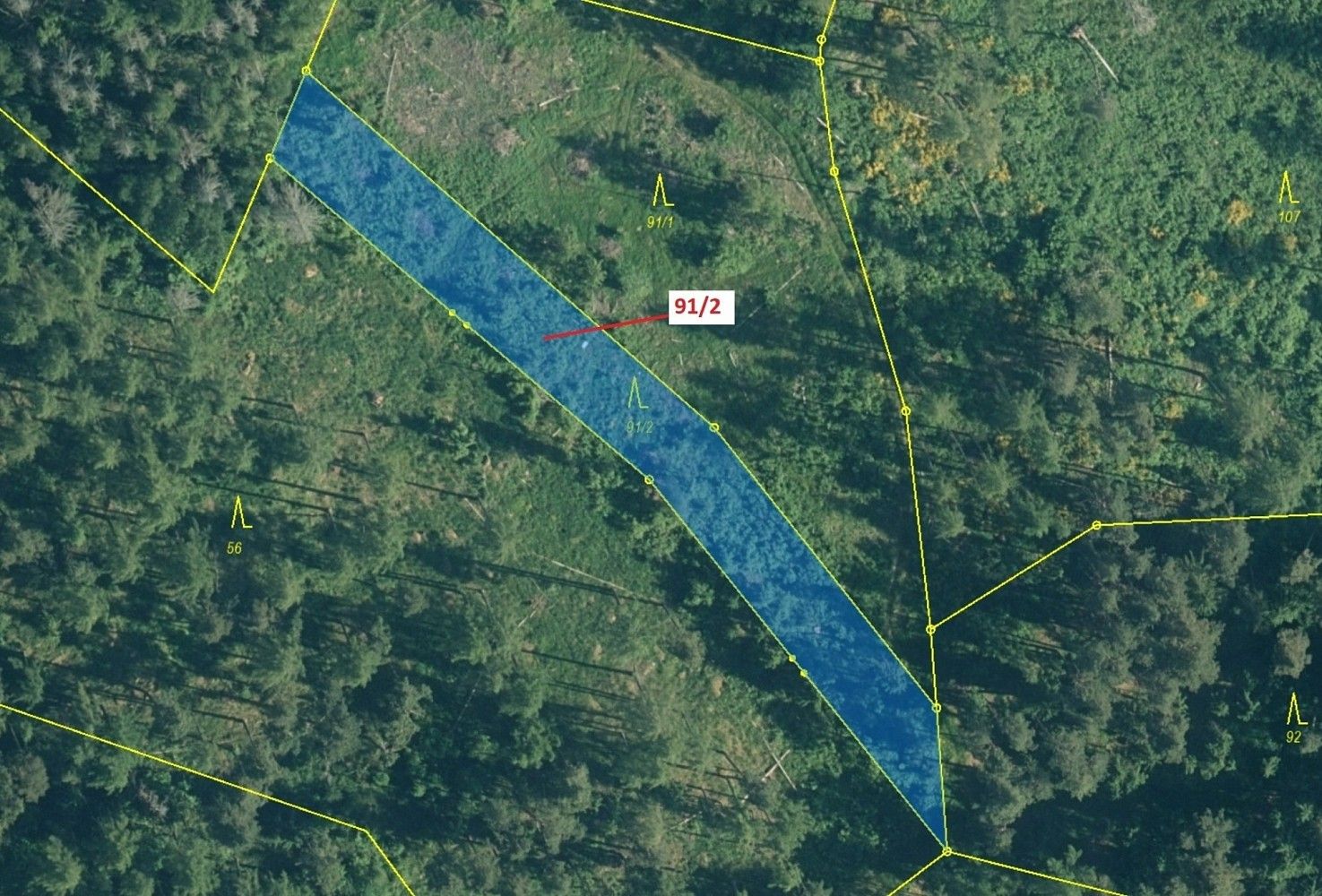 Prodej les - Pačejov, okres Klatovy, Plzeňský kraj - 2