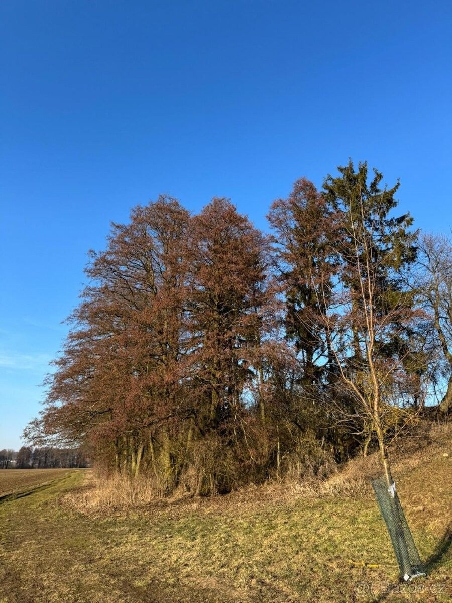 Pozemky pro bydlení, Nový Malín, 788 03 - 2