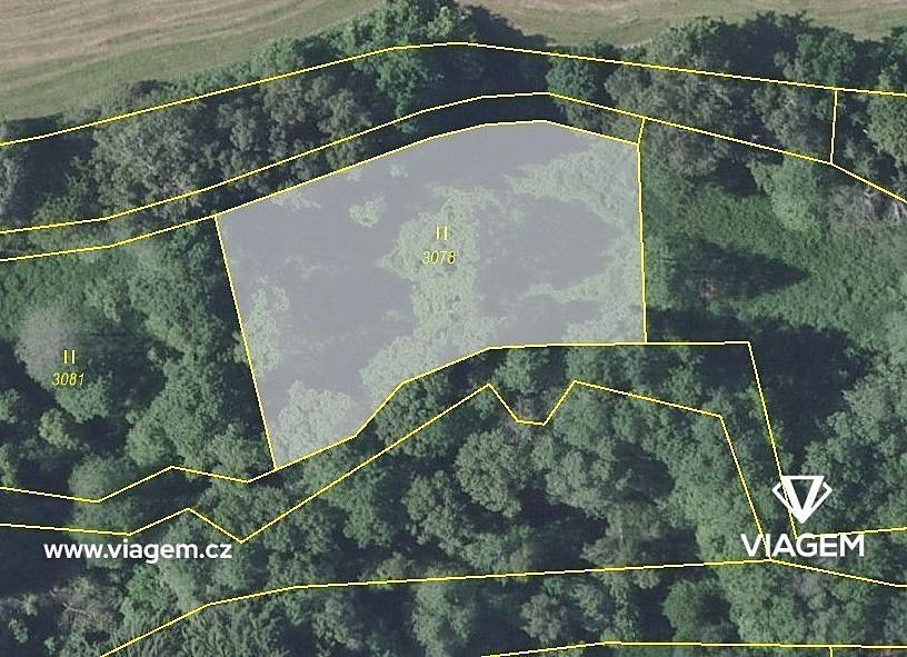 Zemědělský pozemek · Pravonín, okres Benešov - 3