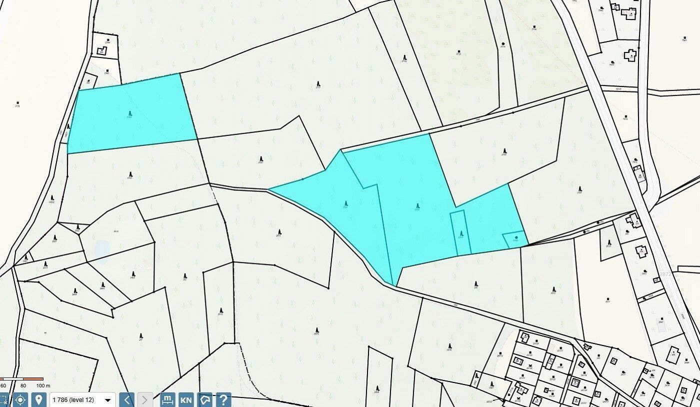 Les · Malá Skála - Mukařov, okres Jablonec nad Nisou, Liberecký kraj - 3