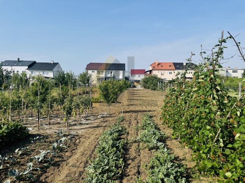 Zahrady, Lužice u Hodonína, 696 18