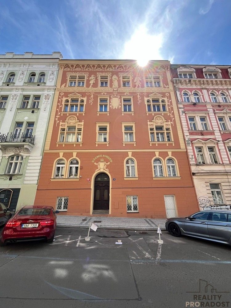 3+kk, Řehořova, Praha 3 - Žižkov, 102 m² - 1