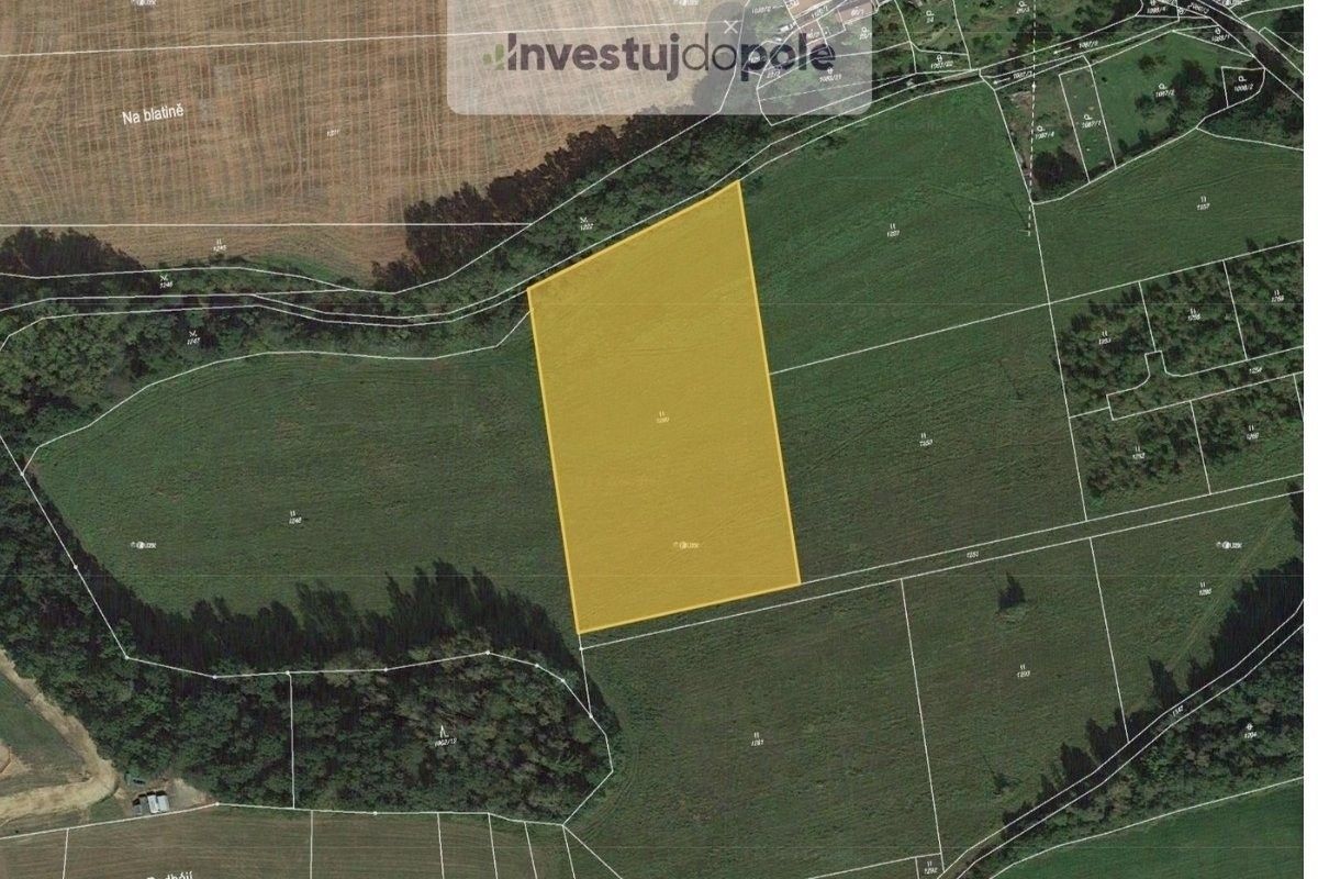 Louky, Břasy, 11 131 m²