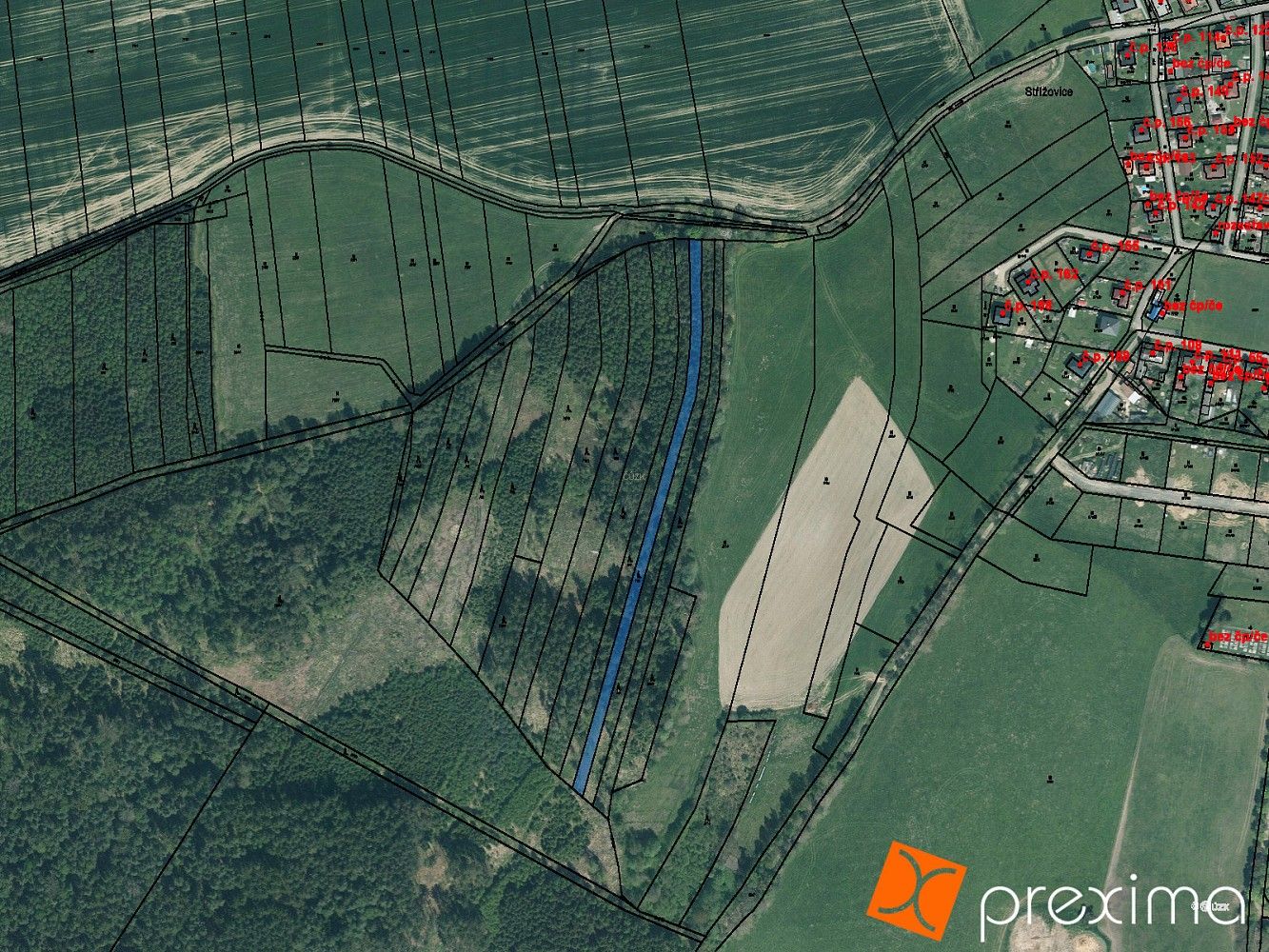 Prodej les - Střížovice, okres Plzeň-jih, Plzeňský kraj - 1