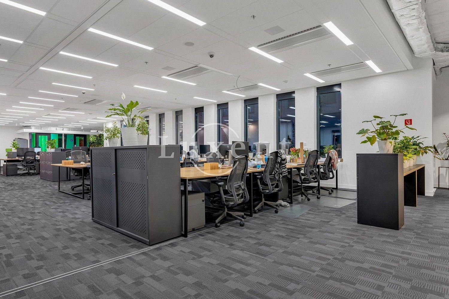 Kanceláře, Praha, okres Praha 6, Hlavní město Praha, 520 m² - 2