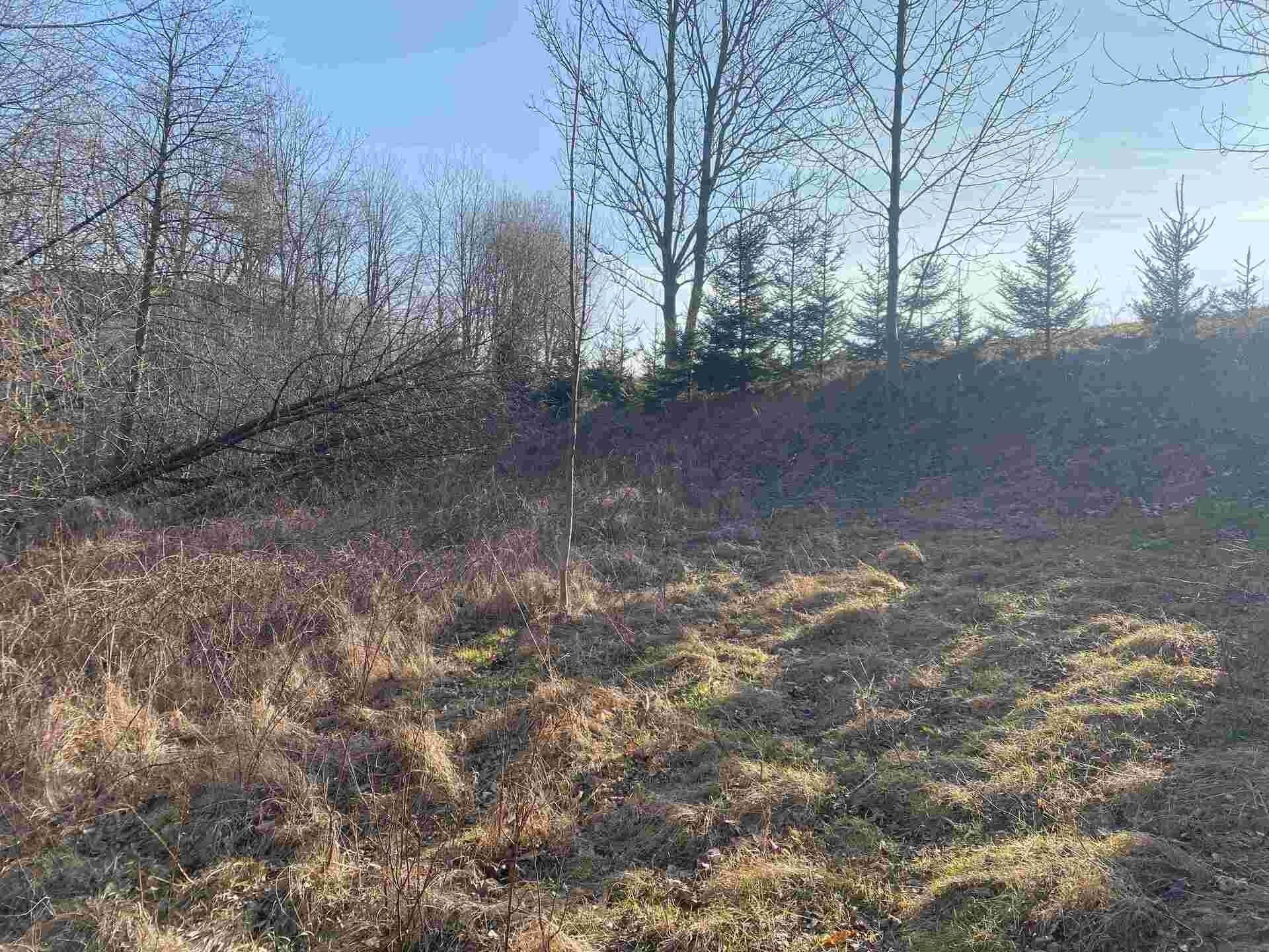 Prodej zahrada - Horní Stropnice, 2 m²