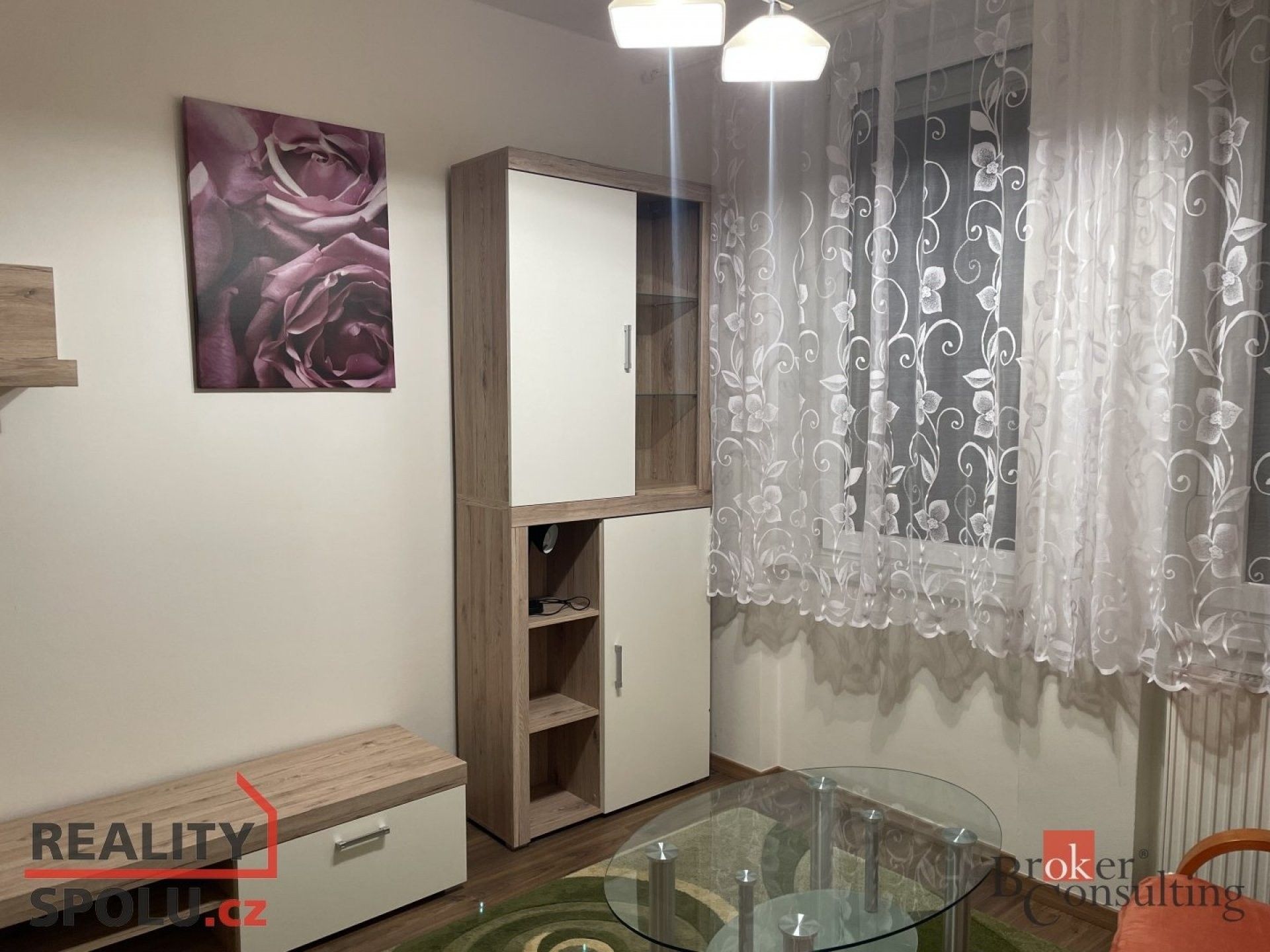 Pronájem byt 1+1 - Třebízského, České Budějovice, 25 m²